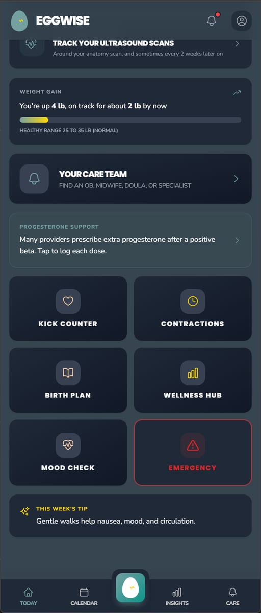EggWise Pregnancy Mode quick tools grid: kick counter, contractions, birth plan, wellness hub, mood check, and emergency