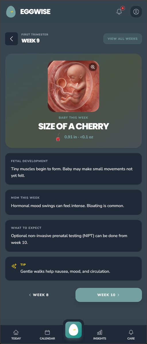EggWise Pregnancy Mode week-by-week view showing a Week 9 fetal visual, size of a cherry, fetal development, and what to expect